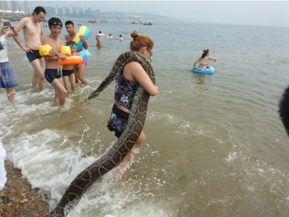 野生動物是可愛宠物  Wild animal 野生動物