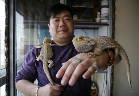 野生動物是可愛宠物  Wild animal 野生動物