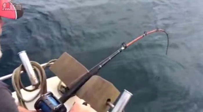 【嚇到賴尿】釣魚釣出禍 險死  教你釣魚/釣蟹法