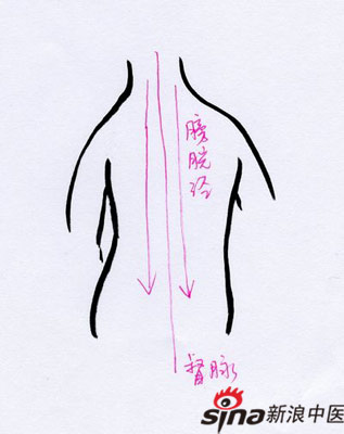 背部刮痧具體操作手法  中藥問症