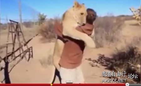 母獅飛撲擁抱救命恩人  Religious 宗教