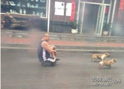  Pets 寵物護理 +紀念堂