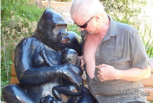   Baby 虾仔虾女