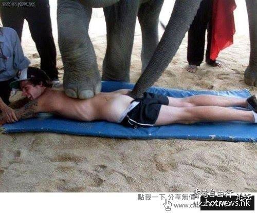 大象按摩治好你的便秘？！  世界奇闻