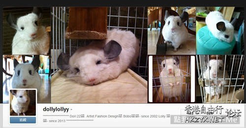 現實中的龍貓！  Pets 寵物護理 +紀念堂