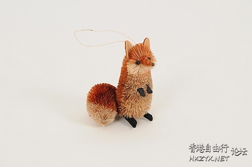 孤独的小狐狸  Ecology 生態留影