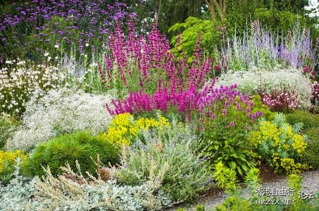 FLOWERS AND PLANTS  Flowers花卉