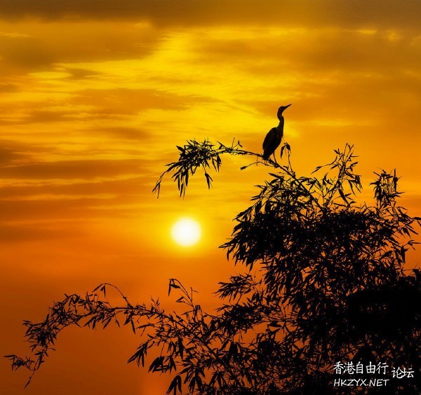   Sunset 夕陽