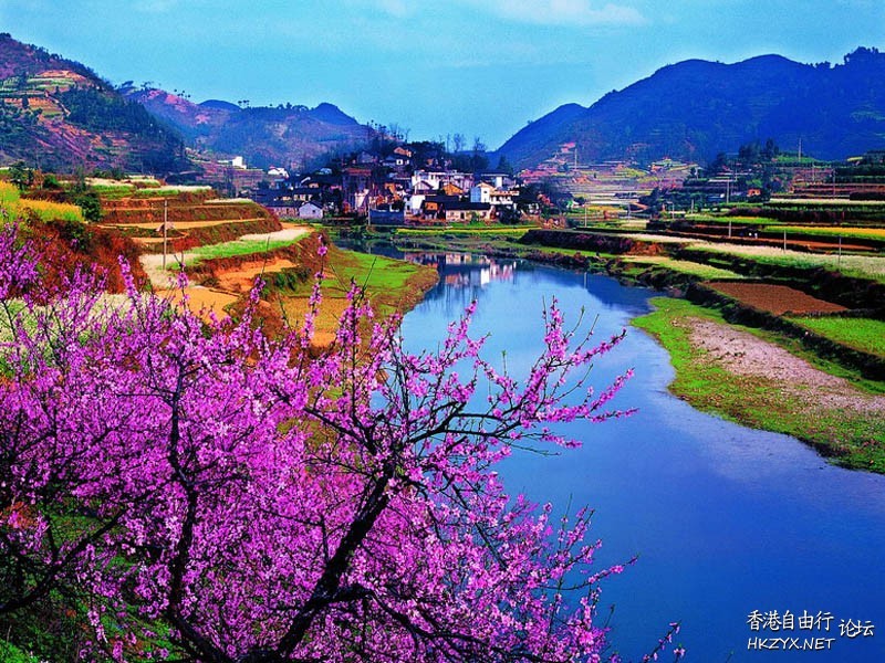   World Travel 世界旅遊