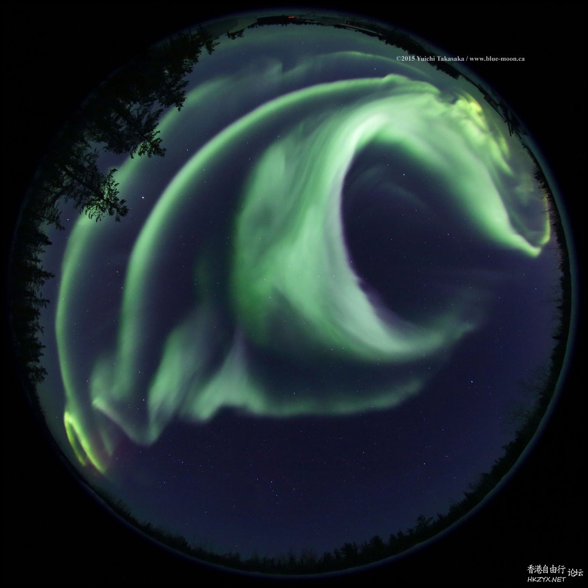 The night sky over N. Canada  天文探討