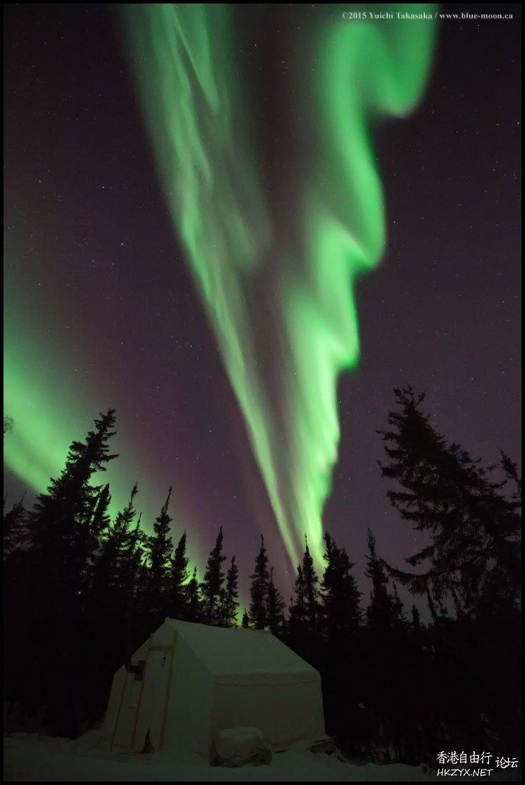 The night sky over N. Canada  天文探討
