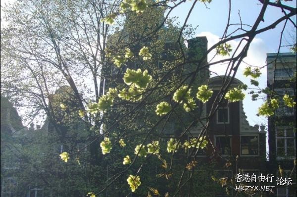 阿姆斯特丹是藝術家  World Trave...欧美