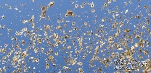 阿姆斯特丹是藝術家  World Trave...欧美