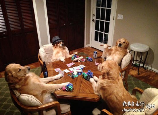狗狗進化超可愛 ♥  Pets 寵物護理 +紀念堂