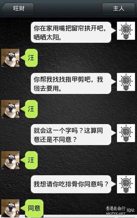 狗狗進化超可愛 ♥  Pets 寵物護理 +紀念堂