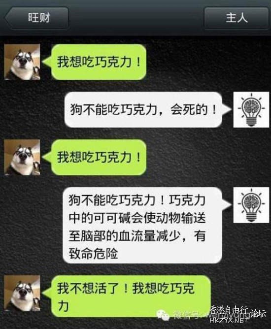 狗狗進化超可愛 ♥  Pets 寵物護理 +紀念堂