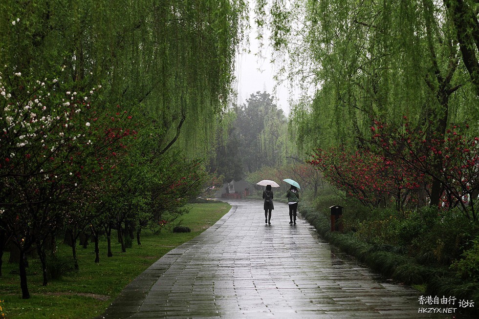 斜風細雨 清露無痕  文学欣賞