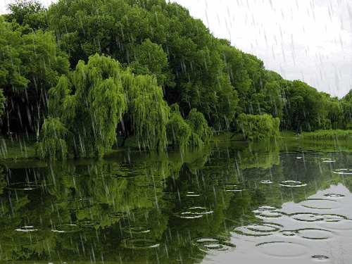 斜風細雨 清露無痕  文学欣賞
