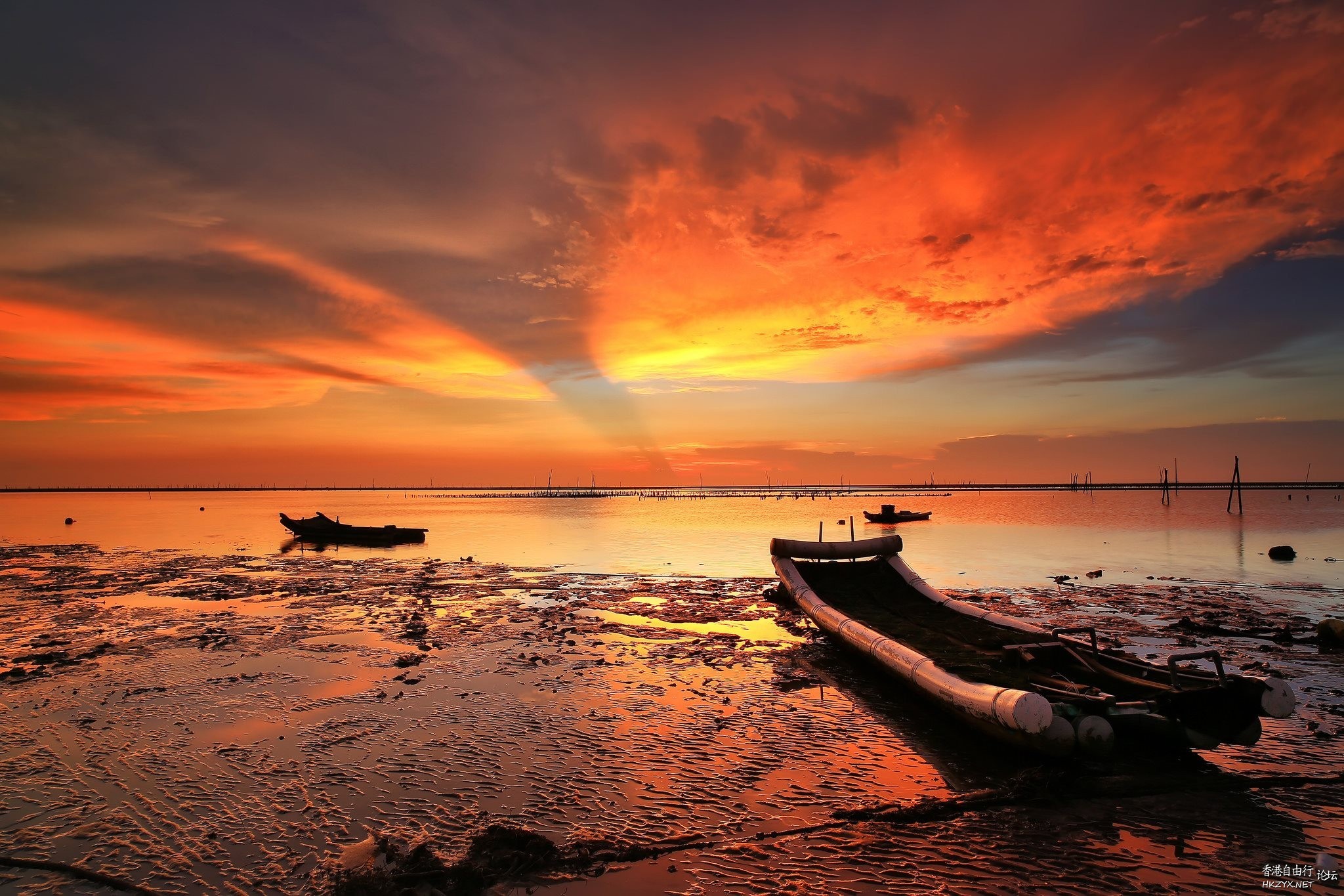   Photography 攝影特區