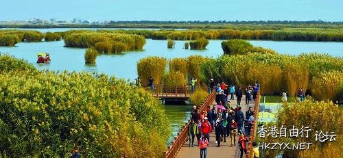 沙湖特色  World Travel 世界旅遊