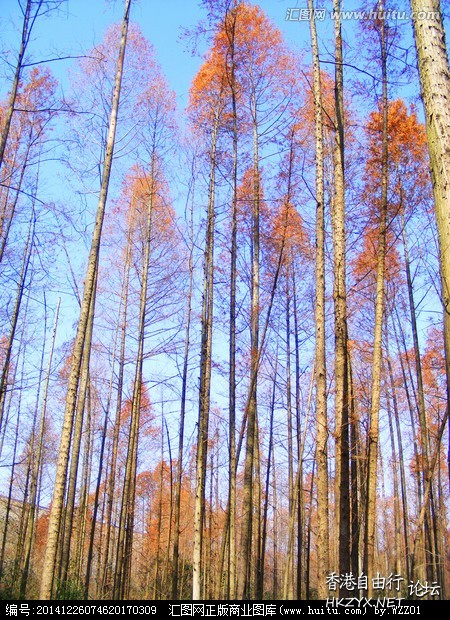    Landscape 山水湖林