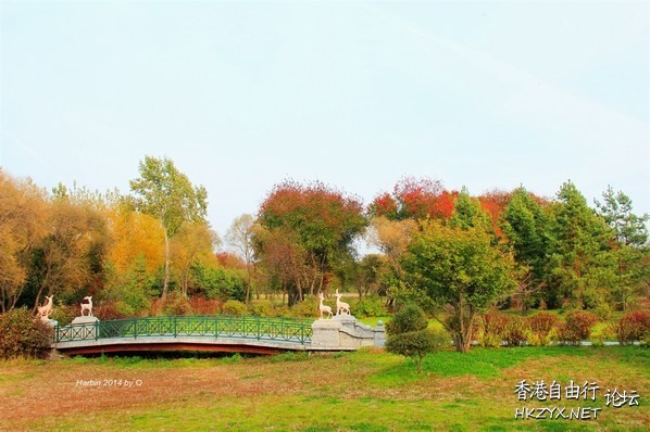    Landscape 山水湖林
