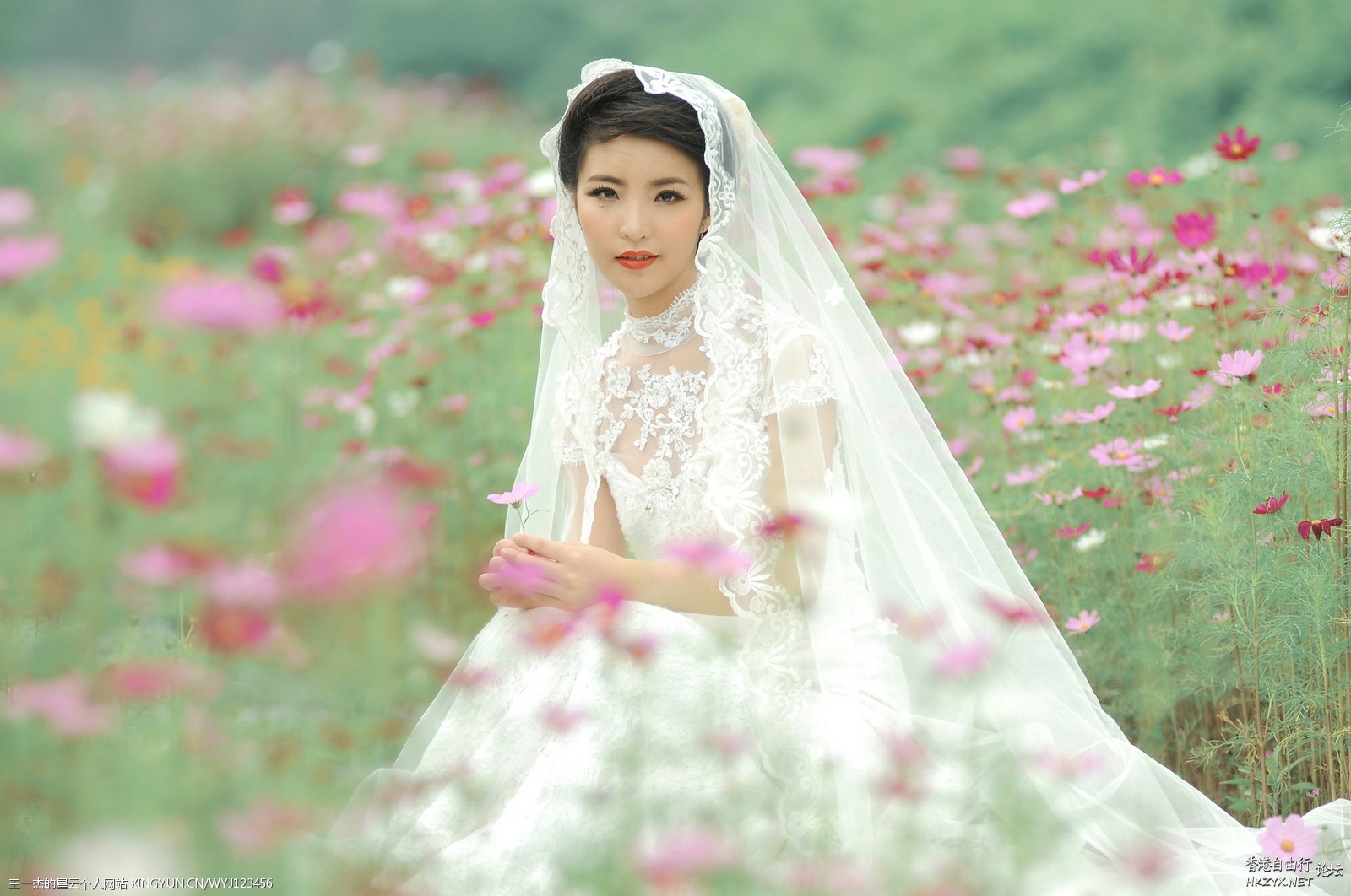   婚礼服務