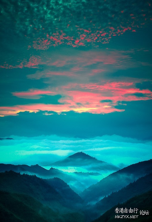 日出江花静谧之美  Sunset 夕陽