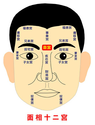面上無肉其心狡毒  紫微斗數
