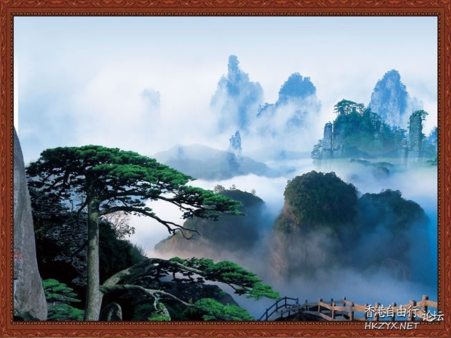 緣分 ， 不是偶然 !  Philosophy of life感悟人生