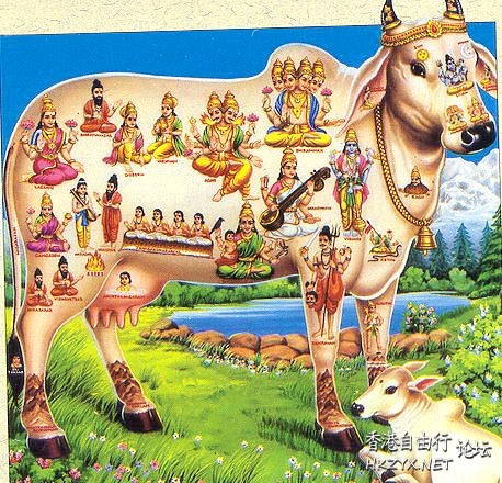 印度瑜伽：天人合一的修行  瑜伽美体图片