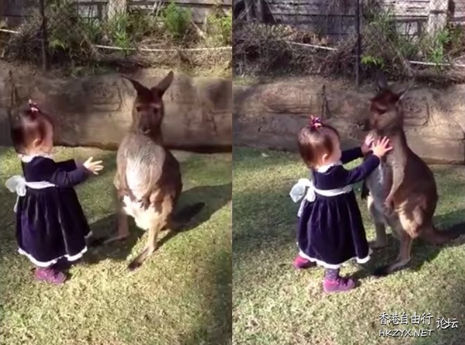 最熱門十大爆笑  Funny Baby
