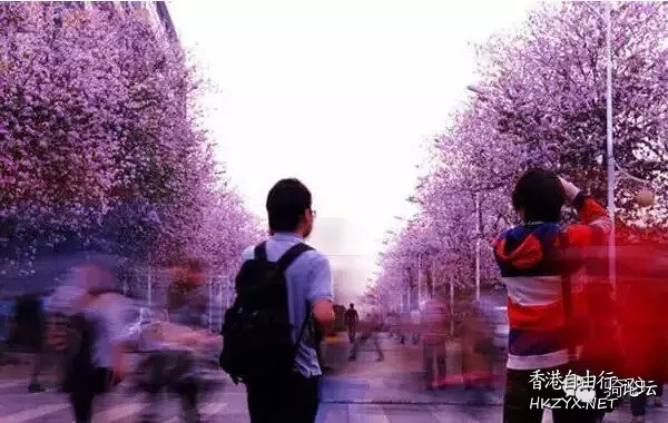 中國四明山  World Travel 世界旅遊