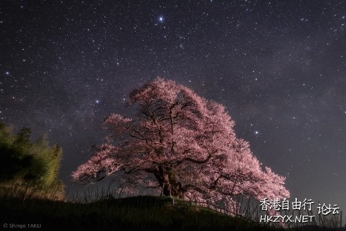 你未曾見過的夜空  天文探討