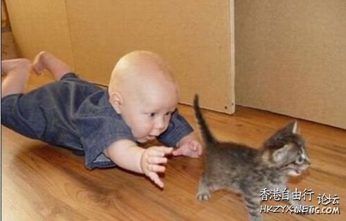 Duck : 可以做 friend 吗?  Pets 寵物護理 +紀念堂