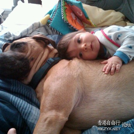 Duck : 可以做 friend 吗?  Pets 寵物護理 +紀念堂