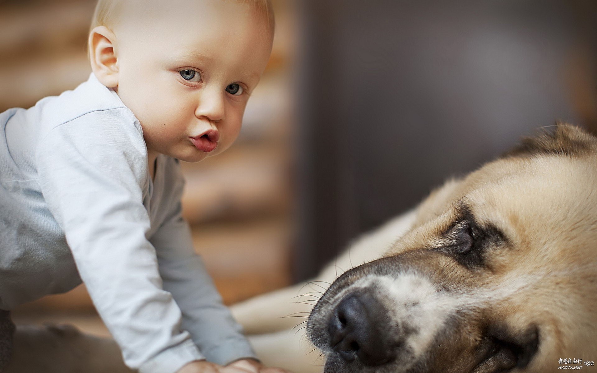 Best friends are a little kid  Funny Baby