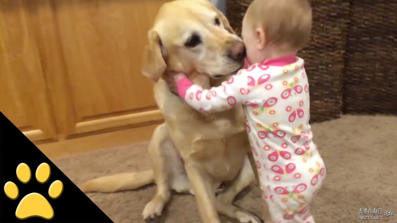 Best friends are a little kid  Funny Baby
