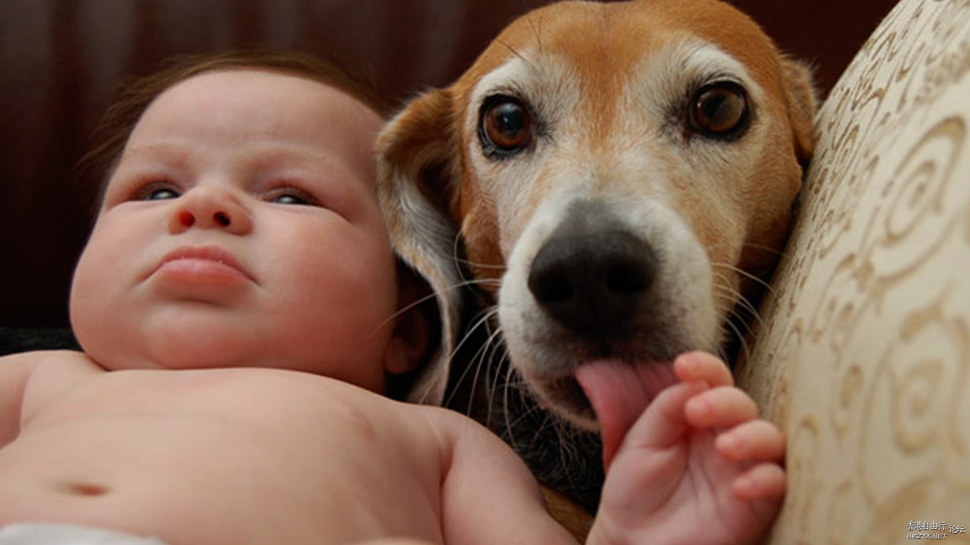 Best friends are a little kid  Funny Baby