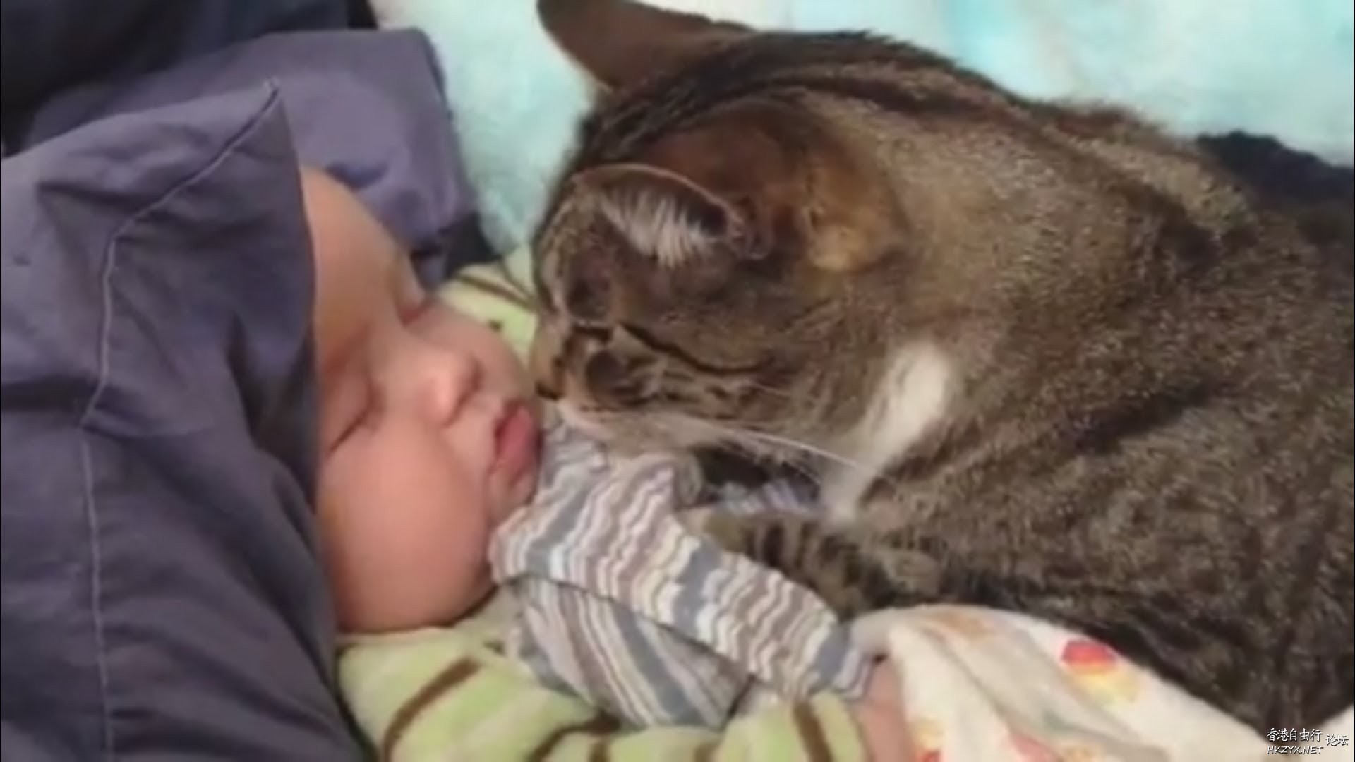 Best friends are a little kid  Funny Baby