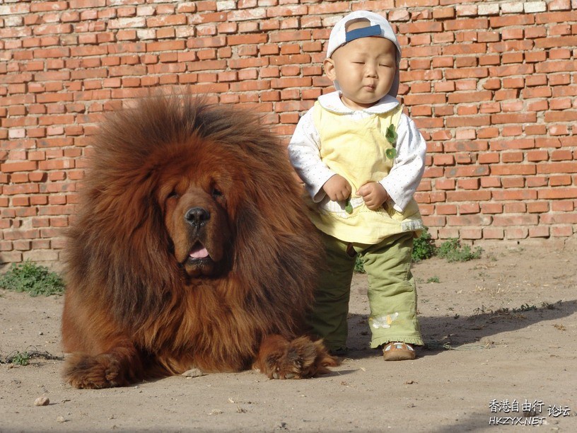 Best friends are a little kid  Funny Baby