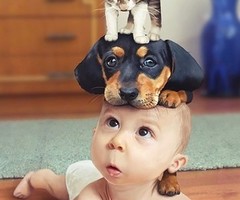   Baby 虾仔虾女
