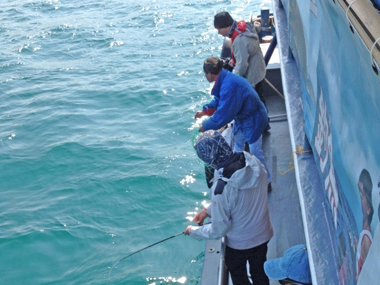 東龍島釣鱼  教你釣魚/釣蟹法