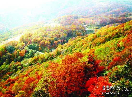百望山森林公园  World Travel 世界旅遊