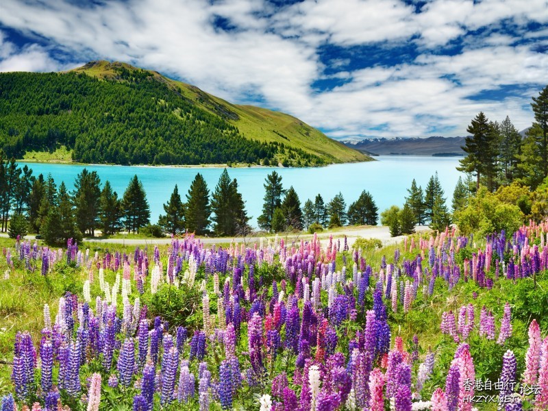 薰衣草庄园风景  Photography 攝影特區