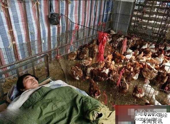 內涵笑話--笑哈哈   一天三笑 + 解悶處
