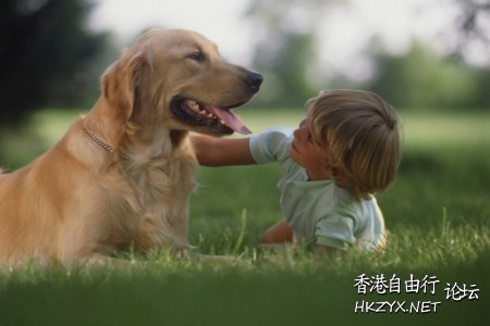 Dog: 你們食M飽好啦 !  Pets 寵物護理 +紀念堂