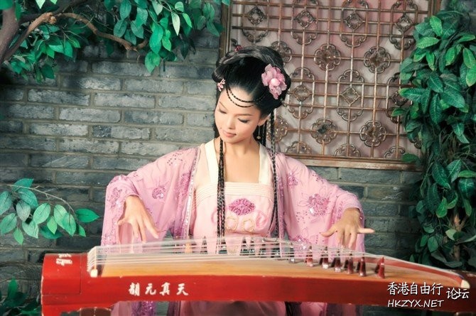 古筝美女  古箏