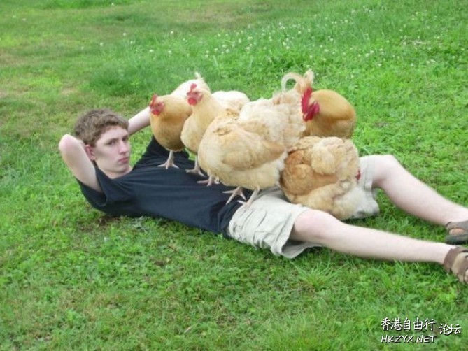 Funny Photos  Jokes in English