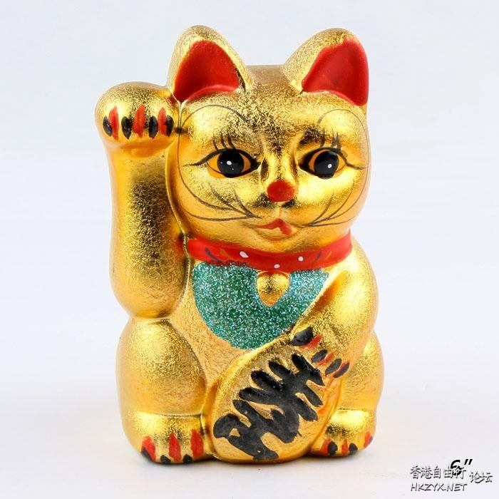 Cat:金魚妹可交友嗎！  Puppies- cats小狗與猫